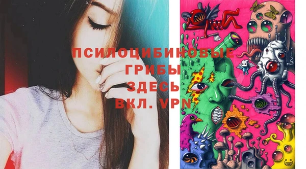 гидропоника Ветлуга