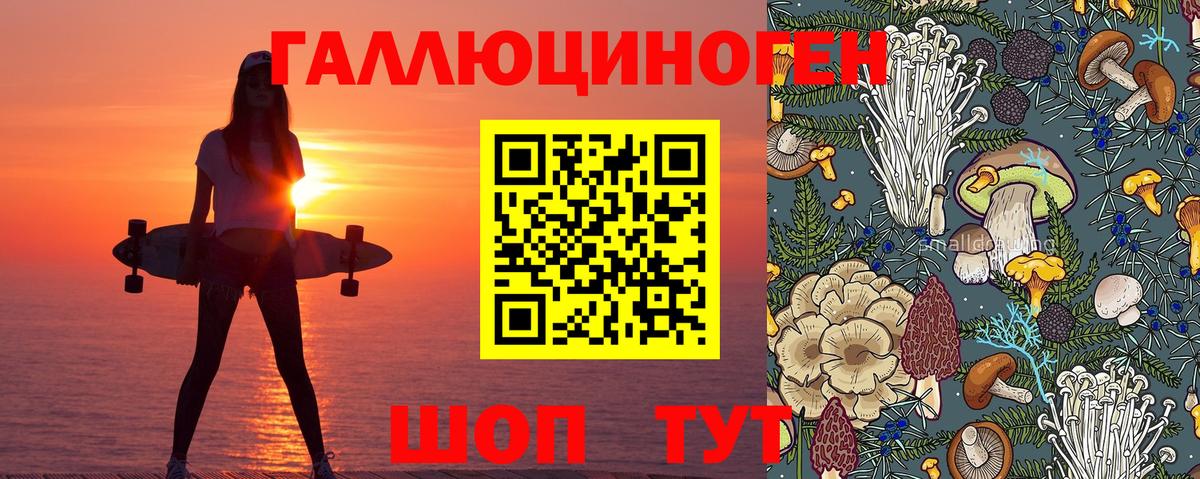 Галлюциногенные грибы мухоморы Искитим