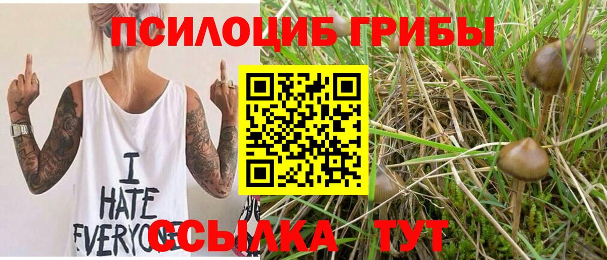 Псилоцибиновые грибы Cubensis  купить  сайты  Искитим 