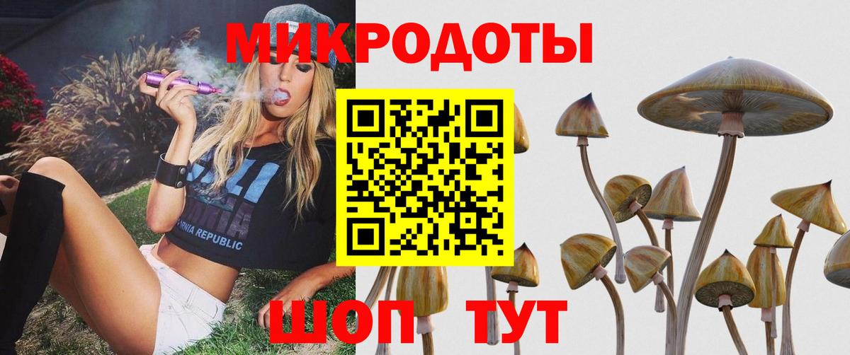 Галлюциногенные грибы Magic Shrooms  Галлюциногенные грибы мухоморы  Вход с VPN  Искитим 